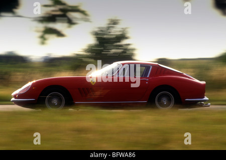 1966 Ferrari 275 GTB/C Stockfoto