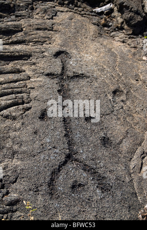 Petroglyphen an Mauna Loa Petroglyphs Hawaii Volcanoes Nationalpark Hawaii USA Stockfoto