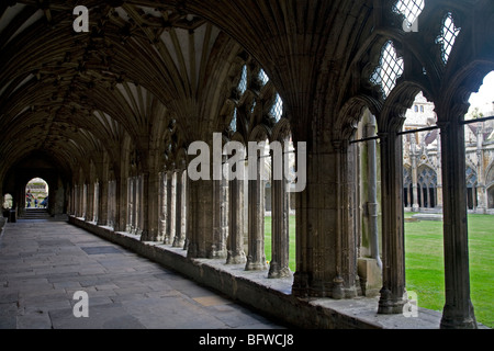 Großen Kreuzgang Kathedrale von Canterbury Kent England Stockfoto