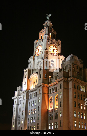 Das Royal Liver Building bei Nacht, Pier Head, Liverpool, Merseyside, England Stockfoto