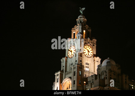 Clock Tower und Leber Vögel in der Nacht der Royal Liver Buildings, Liverpool, Merseyside, UK Stockfoto