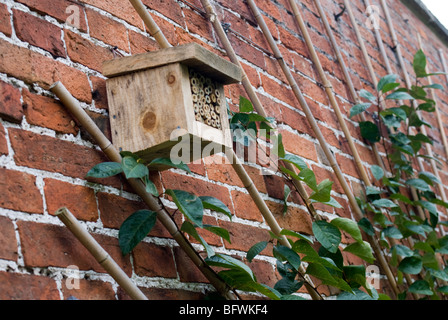 Einsame Biene Nistkasten Garten Wand befestigt. Stockfoto