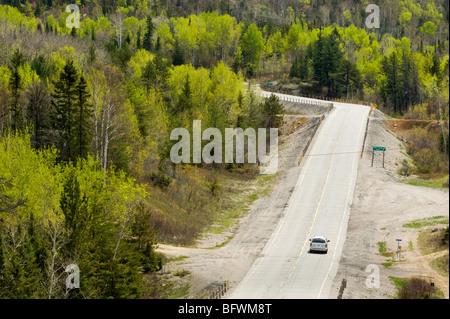 Espen und Birken auf Hügel und von hohen Aussichtspunkt, Greater Sudbury, Ontario, Kanada Stockfoto