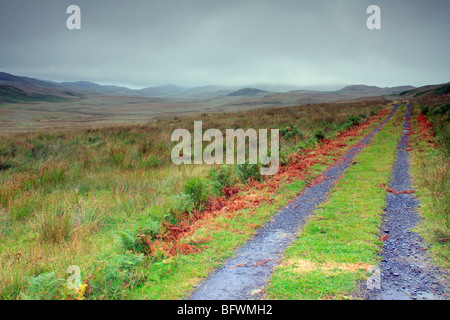 Landschaft in der Nähe von Lealt, nördlichen Ende der Isle of Jura, Schottland Stockfoto