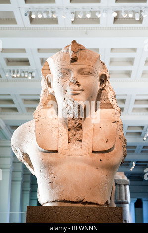 Kolossale Kalkstein Büste von Amenophis III in British Museum, London, England, Großbritannien, Großbritannien Stockfoto