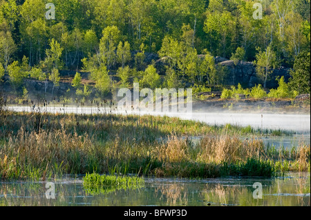 Morgennebel im Frühjahr Biber Teich, Greater Sudbury, Ontario, Kanada Stockfoto