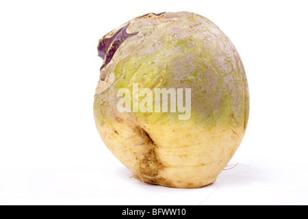 Schwede oder Rübe isoliert vor weißem Hintergrund. Stockfoto