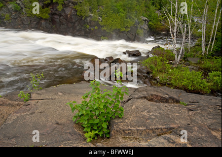 Stromschnellen und stehende Wellen im Onaping Fluss über Wasserfall, Greater Sudbury, Ontario, Kanada Stockfoto