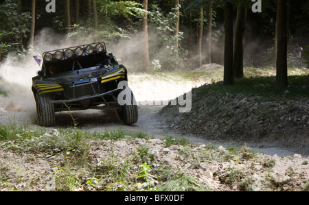 Ein Rallye-Auto auf der Waldbühne beim Goodwood Festival of speed Stockfoto