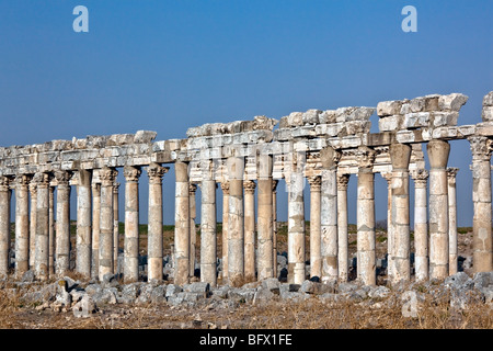 Pompeius Apameia (Apameia) oder Afamia (Arabisch) Teil des römischen Reiches in Syrien gemacht. Cardo Maximus Straße mit Spalten. Römische und Stockfoto
