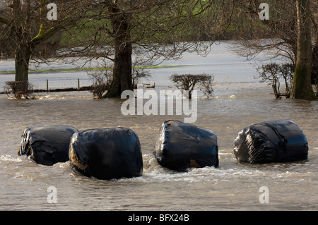 Überfluteten Ackerland zeigt Großballen und Zäune beschädigt Stockfoto