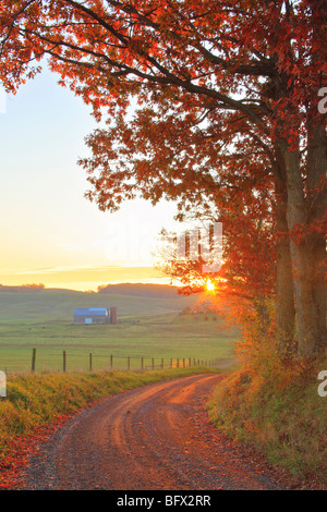 Herbst-Szene entlang der Landstraße durch Swoope Ackerland, Shenandoah Valley, virginia Stockfoto