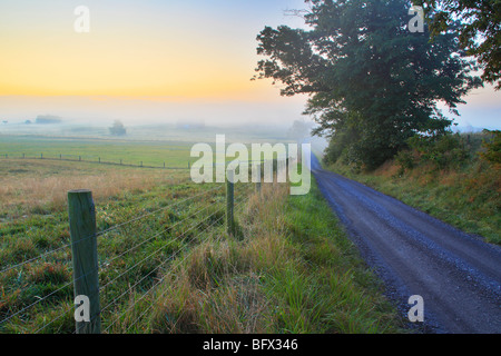 Landstraße durch Ackerland in Swoope bei Sonnenaufgang, Shenandoah Valley, Virginia Stockfoto