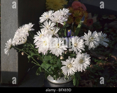 Garden Of Remembrance Memorial Erinnerungen anglikanischen Blume Christentum Nostalgie ruhige Szene Friedhofskirche Grab Ort Konze Stockfoto