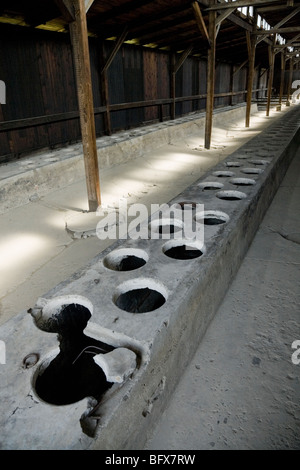 Toiletten in einer Latrine Hütte / Schuppen von Birkenau (Auschwitz II - Birkenau) Nazi-Vernichtungslager in Oswiecim, Polen. Stockfoto