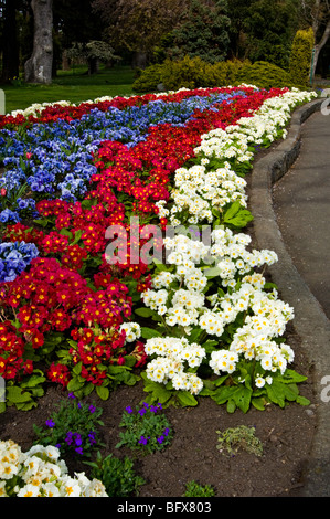 Frühling Bäume und Blumen in Beacon Hill Park, Victoria, BC Britisch-Kolumbien, Kanada Stockfoto