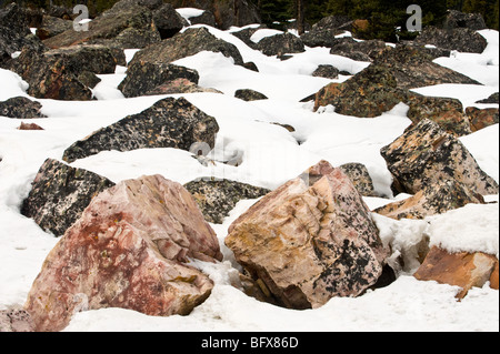 Felsbrocken durch Schneeschmelze in Lawinen, Steinschlag, Jasper Nationalpark, Alberta, Kanada Stockfoto