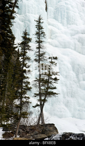 Tangle Creek Wasserfall und Eis Formationen im zeitigen Frühjahr, Jasper Nationalpark, Alberta, Kanada Stockfoto