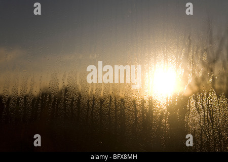 Kondensation in einem Haushalt Fenster in den britischen Vorstädten früh an einem Novembermorgen. Stockfoto