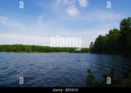 Beaver Dam Teich in Cuddebackville, New York Stockfoto