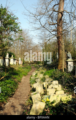 Weg durch Abney Park Friedhof Stoke Newington London England UK Stockfoto