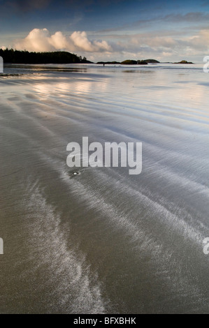 Reflexionen im nassen Sand bei Ebbe am MacKenzie Beach, Tofino, BC Britisch-Kolumbien, Kanada Stockfoto