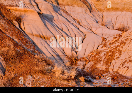 Detail der Erosion Muster in Badlands Tonstein, Dinosaur Provincial Park, Alberta, Kanada Stockfoto