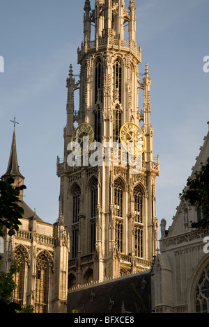 Turm der Onze-Lieve-Vrouwekathedraal - Kathedrale unserer lieben Frau, Antwerpen; Belgien; Europa Stockfoto