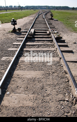 Bahnlinie am Eingang zum Lager Auschwitz 11 - Birkenau, Birkenau, Polen. Stockfoto