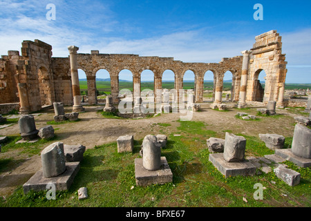 Romanische Basilika Ruinen in Volubilis in Marokko Stockfoto