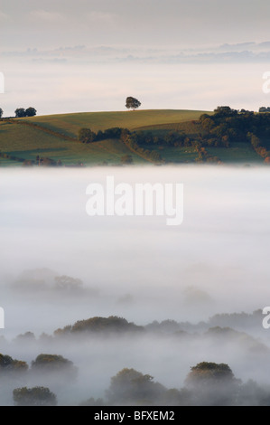 Yarley Hill in Somerset von der Mendips an einem nebligen Morgen gesehen. Stockfoto