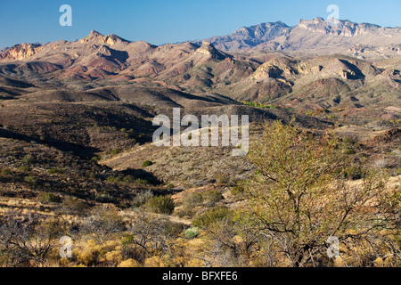 Galiuro Berge entlang der malerischen Vista Trail, Muleshoe Ranch, Arizona gesehen Stockfoto