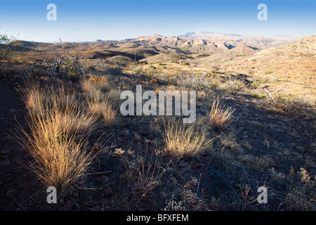 Galiuro Berge und einheimischen Gräser, die entlang der malerischen Vista Trail, Muleshoe Ranch, Arizona gesehen Stockfoto