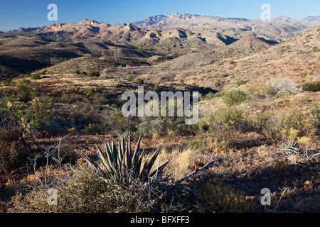 Galiuro Berge entlang der malerischen Vista Trail, Muleshoe Ranch, Arizona gesehen Stockfoto