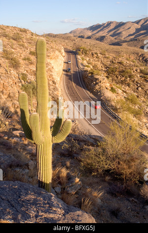 Malerischen Mt. Lemmon Hwy Köpfe bis an die Spitze der Catalina Mountains in Tucson AZ. Stockfoto