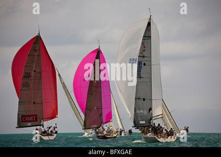 Erstklassige Boote und Segler sind jedes Jahr im Januar gezogen, um in die Acura Key West Regatta Key West Key West Florida USA konkurrieren Stockfoto