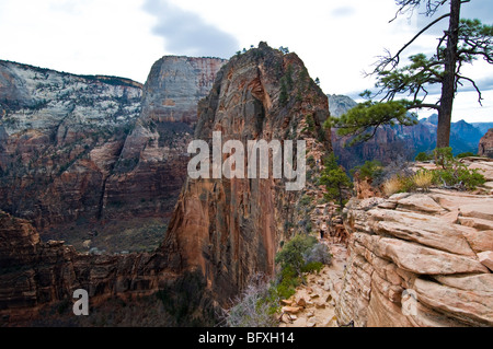 Angels Landing Trail, Zion Nationalpark, Utah, USA Stockfoto