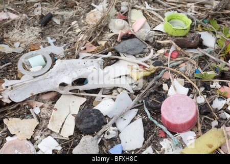 Überreste von jungen Albatrossen und den Plastikmüll, die das Verdauungssystem dieses Vogels füllten und wahrscheinlich den Tod auf einer pazifischen Insel verursachten Stockfoto