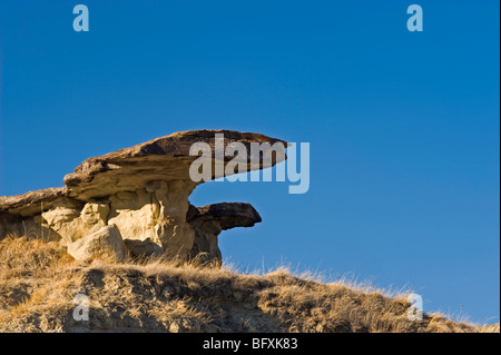 Rock Hoodoos in Badlands Umgebung, Dinosaur Provincial Park, Alberta, Kanada Stockfoto