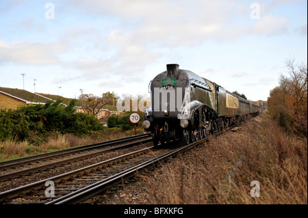 A4 Pacific Lokomotive "Rohrdommel" mit Geschwindigkeit nähert sich Star Lane Crossing, Wokingham, Berkshire. Stockfoto