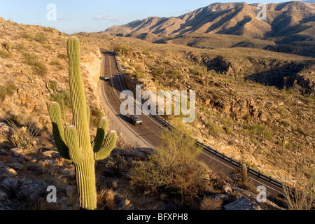 Malerischen Mt. Lemmon Hwy Köpfe bis an die Spitze der Catalina Mountains in Tucson AZ. Stockfoto