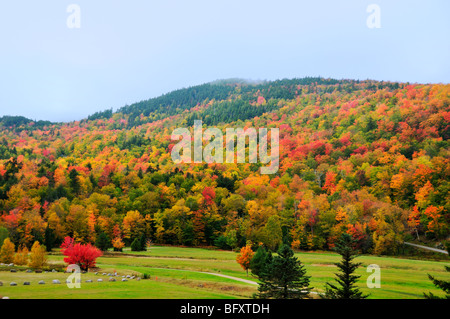 Nebel rollt über die grünen Berge und erweicht das brillante Herbstlaub der Adirondack-Bergkette in Vermont, USA. Stockfoto