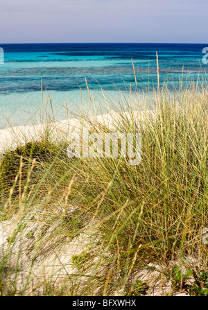 Düne Stockfoto