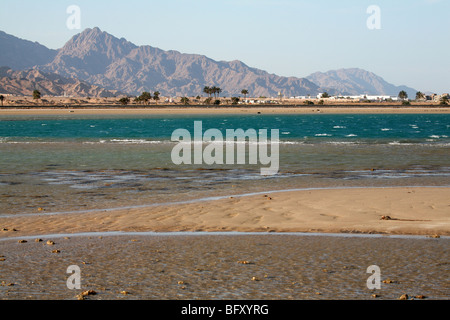 Strand, Rotes Meer. Ägypten, Dahab, Sinai-Halbinsel. Stockfoto