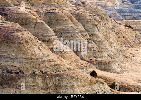 Erodierte Hänge im Little Missouri River Valley, Theodore-Roosevelt-Nationalpark, North Unit, North Dakota, USA Stockfoto