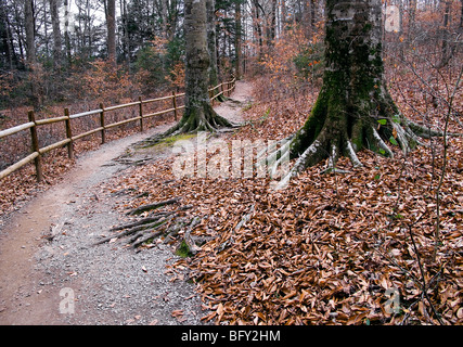 Burgess Falls State Park central Tennessee Cumberland und Umgebung. Stockfoto