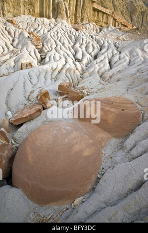 Detail der erodierten Mudstones und "Cannon Ball" Konkretionen, Theodore-Roosevelt-Nationalpark, North Unit, North Dakota, USA Stockfoto