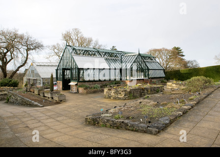 RHS WISLEY GÄRTEN ALPINE HOUSE Stockfoto