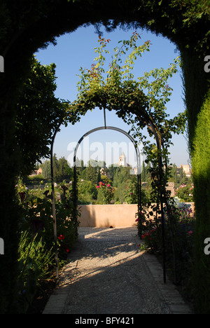 Blick durch eine Laube in den Gärten der Generalife, mit Blick auf die Alhambra, Granada, Andalusien, Spanien Stockfoto