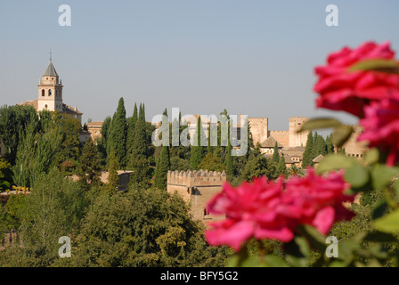 Blick vom Garten der Generalife gegenüber der Alhambra und der Kirchturm, der Alhambra, Granada, Andalusien, Spanien Stockfoto